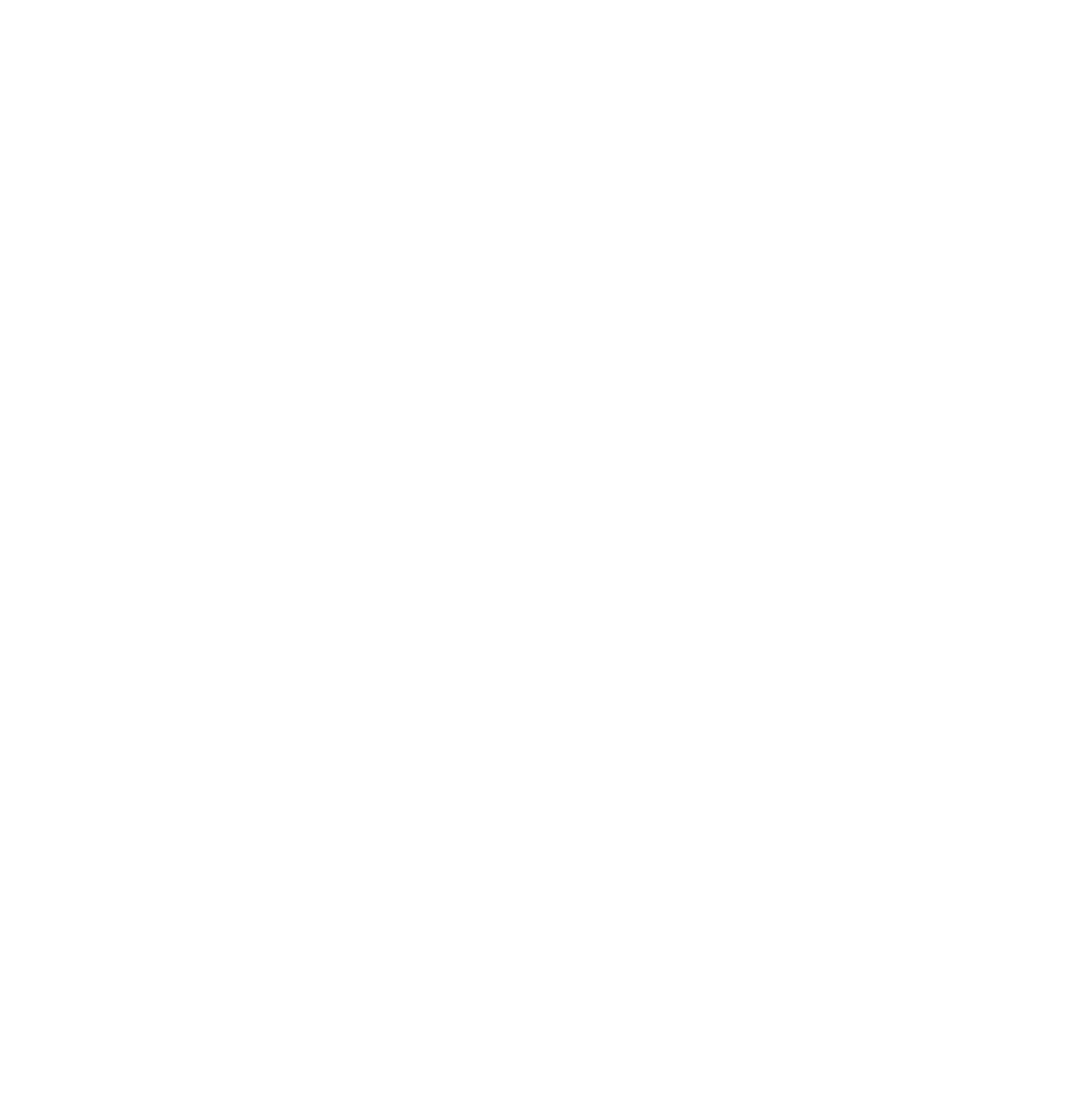 We program the present